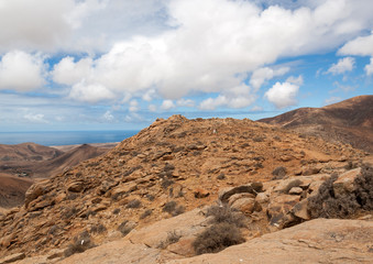 Beautiful volcanic mountains on  Fuerteventura. Canary Islands.