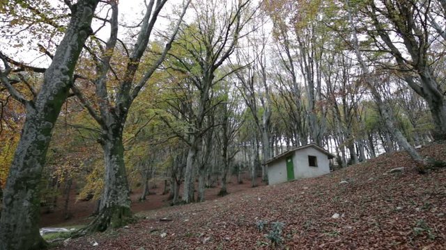 Abandoned house in the woods on the Mount Cucco in Umbria in Italy