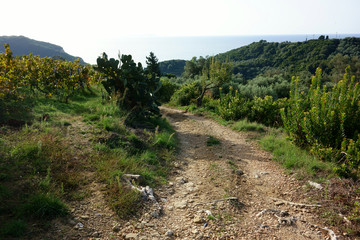 Fototapeta na wymiar Corfu Trail, Greece