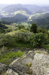 Fototapeta na wymiar Paysage de la Forêt Noire