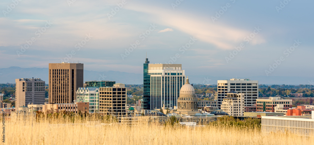 Wall mural Grasses and the skyline of Boise Idaho