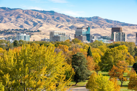 Boise skyline with autumn trees in city park