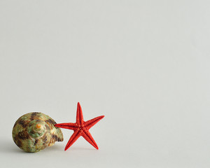 A seashell with a red star fish