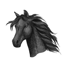 Black raven horse head portrait