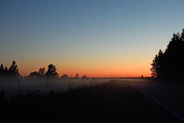 Fototapeta na wymiar Road in a forest at sunset in the summer in the fog