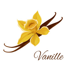 Vanille pod with flower isolated icon
