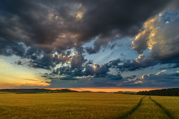 Naklejka na ściany i meble Landscape with sunny dawn in a field with clouds