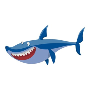 Vector shark character