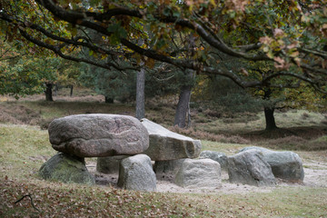 Hunnebed D10 in Gasteren, Drenthe, Netherlands