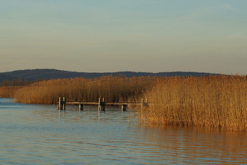 Am Neusiedler See