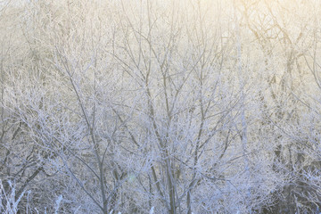 Obraz na płótnie Canvas 冬の風景