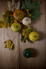 Pumpkins and autumn leaves
