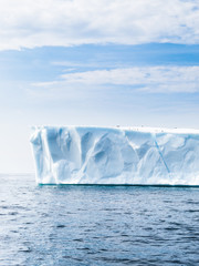 Large iceberg in June run aground near St. Anthony's Newfoundland