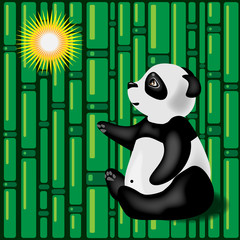 Giant panda and the Sun