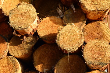 Loaded Lumber