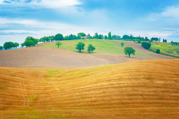 Obraz premium Landscape in Tuscany, Italy