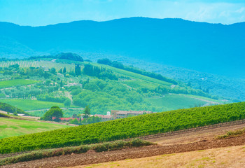 Landscape in Tuscany, Italy