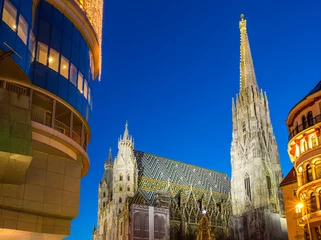 Fotobehang St. Stephan cathedral and christmas tree, Vienna © sborisov
