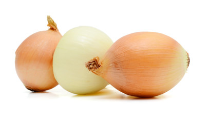 Fresh white onions or shallots isolated on white background