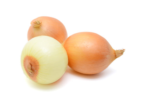 Fresh white onions or shallots isolated on white background