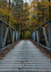 Fototapeta na wymiar One Lane Bridge in Fall