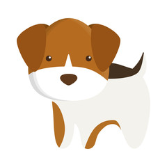 cute dog kawaii style vector illustration design