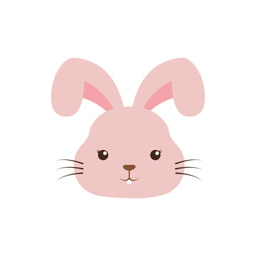 cute rabbit kawaii style vector illustration design
