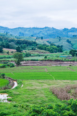 Natural View at Chiang Rai Province