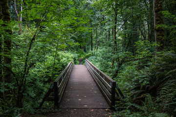 Fototapeta premium Coal Creek bridge