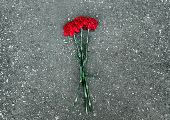 Red carnations flowers lie on the pavement, symbol, rest in peac