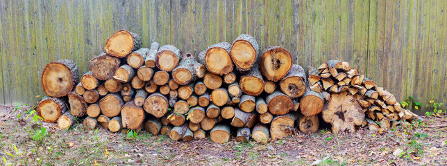 Naklejka premium Stack of birch firewood near the fence