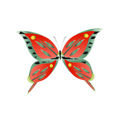 Fototapeta na wymiar beautiful butterflies, isolated on a white