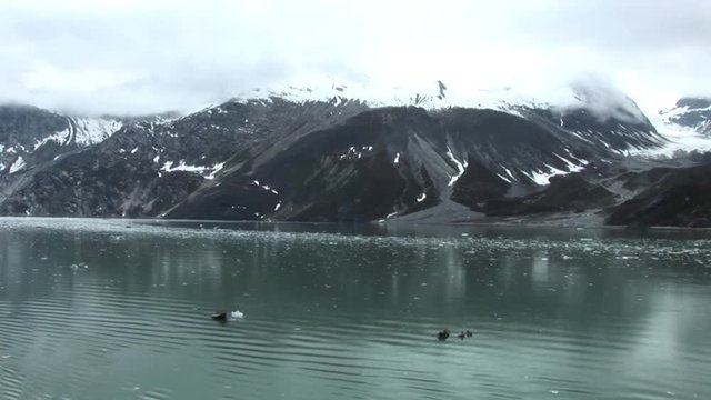 Glacier bay Alaska