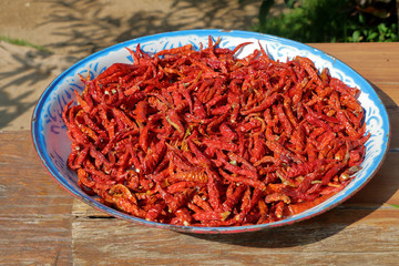 Red chilli pepper drying in the sun