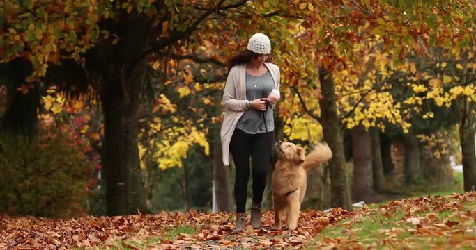 Woman walking golden retriever dog through a leaf covered park trail in Fall