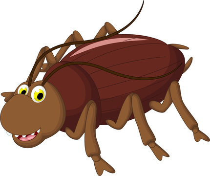 cockroach cartoon for you design