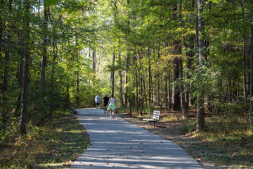 Naklejka premium Walking trail through a forest