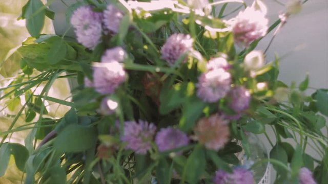 Bouquet of Clover Fluttering in the Wind