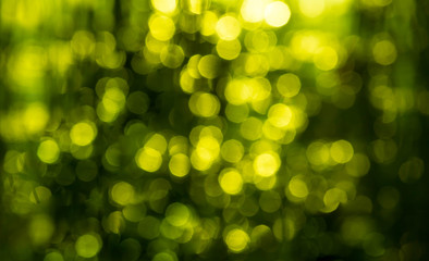 Bokeh Yellow or Green,Background