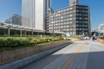 Fototapeta premium 築地川銀座公園