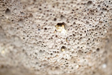 porous rock stone