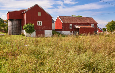 Red traditional barn for hay, wooden buildings