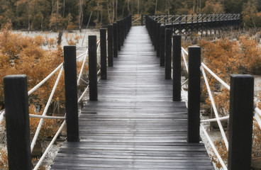 Obraz premium Wooden bridge of walkways in mangrove forest with autumn leaves.