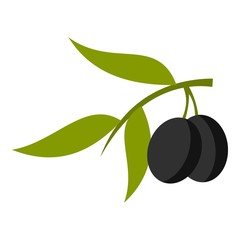 Olive icon. Cartoon illustration of olive vector icon for web