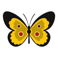 Butterfly icon. Flat illustration of butterfly vector icon for web