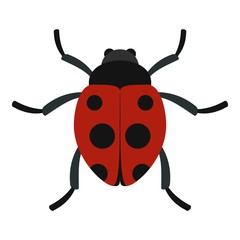 Ladybug icon. Flat illustration of ladybug vector icon for web