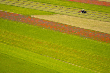 Castelluccio di Norcia