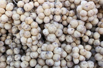 Pile of fresh Wollongong fruit.
