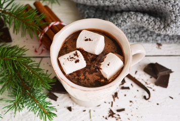 Obraz na płótnie Canvas Winter hot drink - hot chocolate with cinnamon and anise 