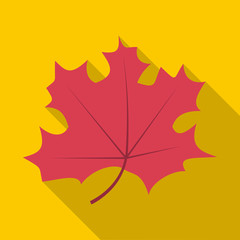 Autumn leaf icon. Flat illustration of autumn leaf vector icon for web